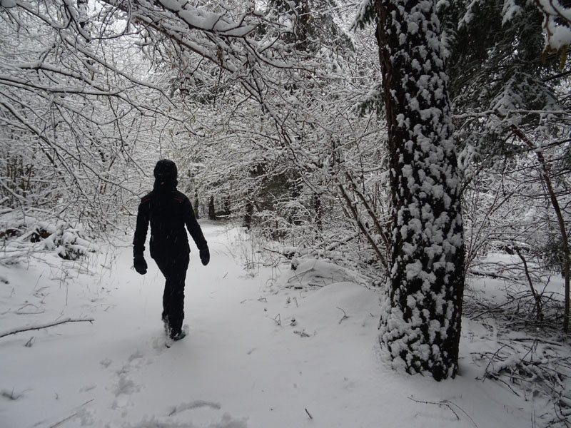 breve passeggiata tra la neve fresca di oggi.....